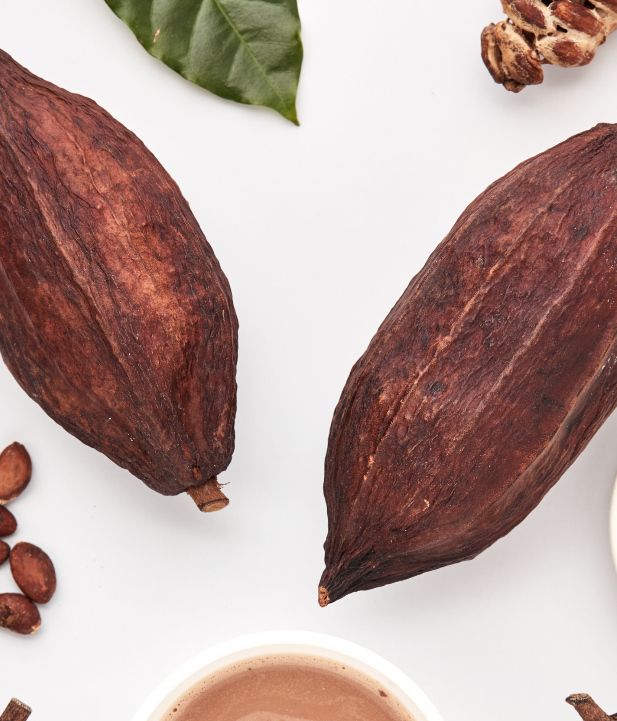 30 servings Go Relax – organic instant Cocoa with Chanterelle & Reishi
