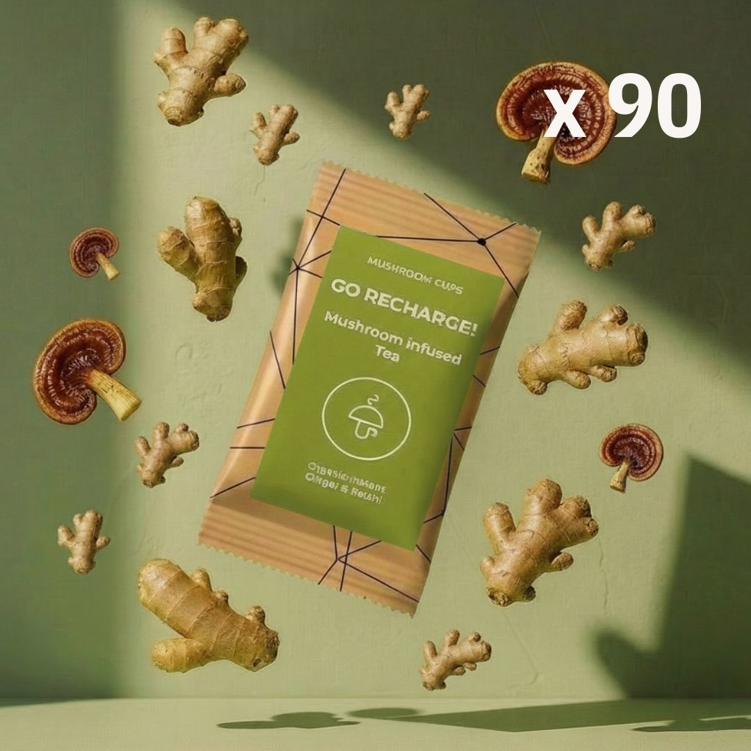 Go Recharge - organski čaj - đumbir i reishi za probavu i zdravlje crijeva