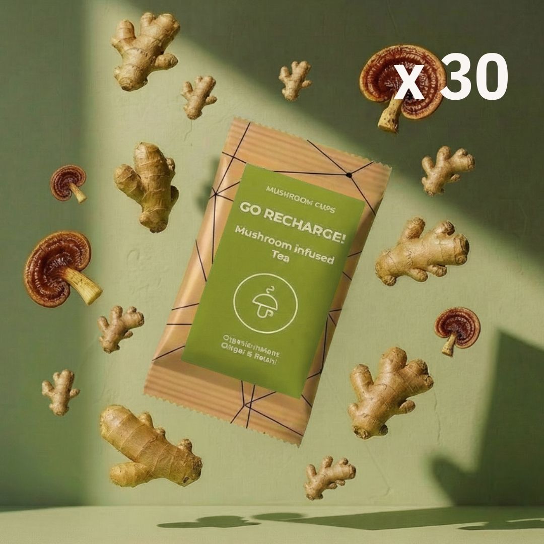 Go recharge tube - tea with mushrooms - for gut health and digestion