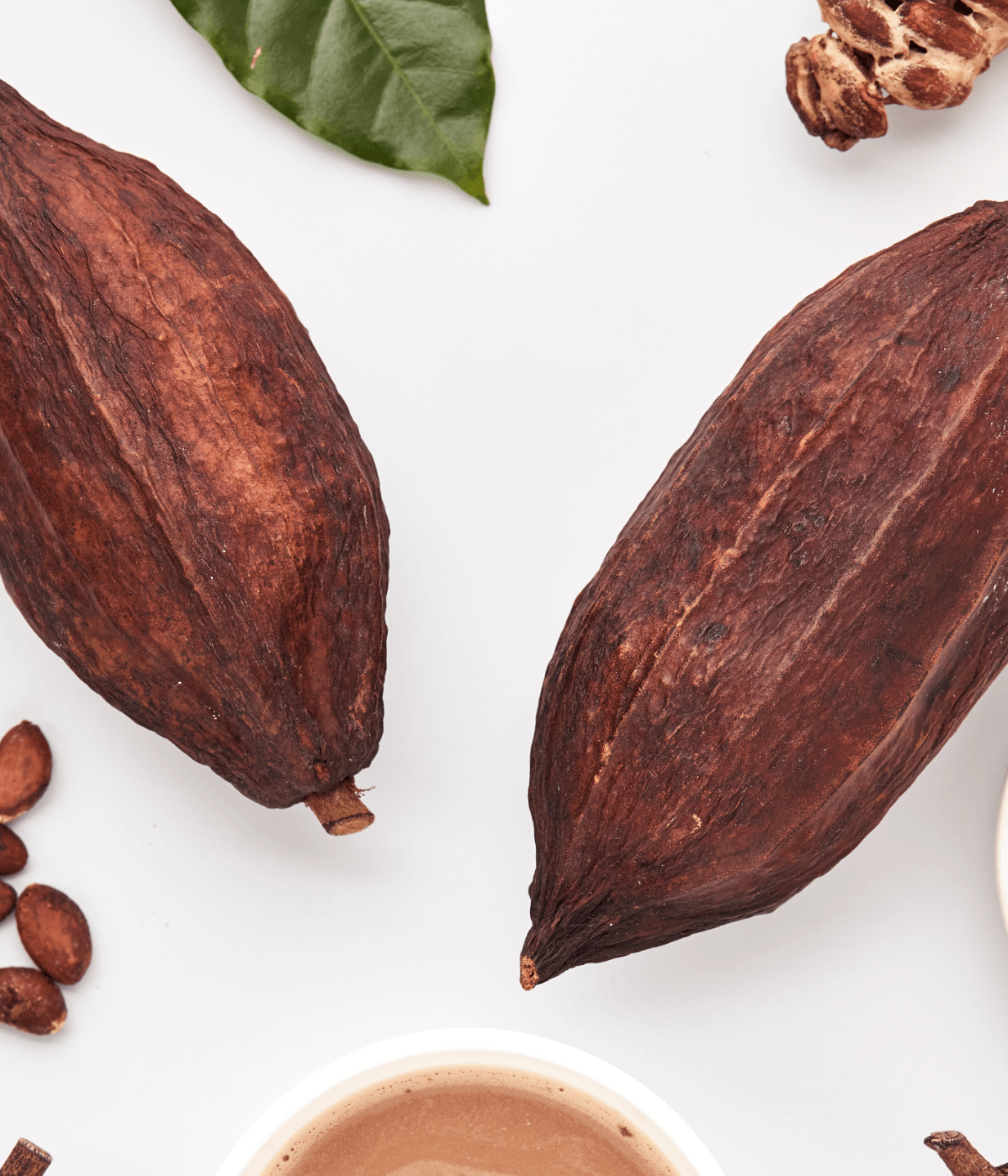 Go Relax – organic instant Cocoa with Chanterelle & Reishi