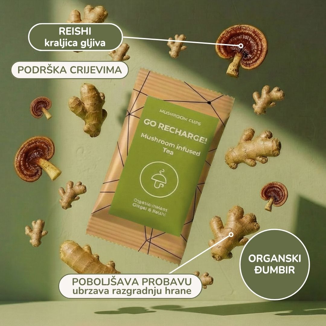 Go Recharge - organski čaj - đumbir i reishi za probavu i zdravlje crijeva