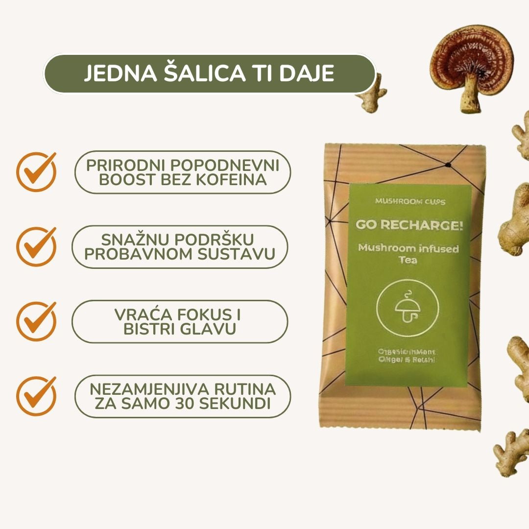 Go Recharge - organski đumbir sa reishi - 30 serviranja 