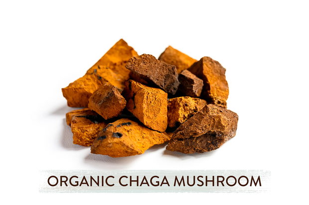 Go Glow – organic instant coffee with Chaga and Chanterelle